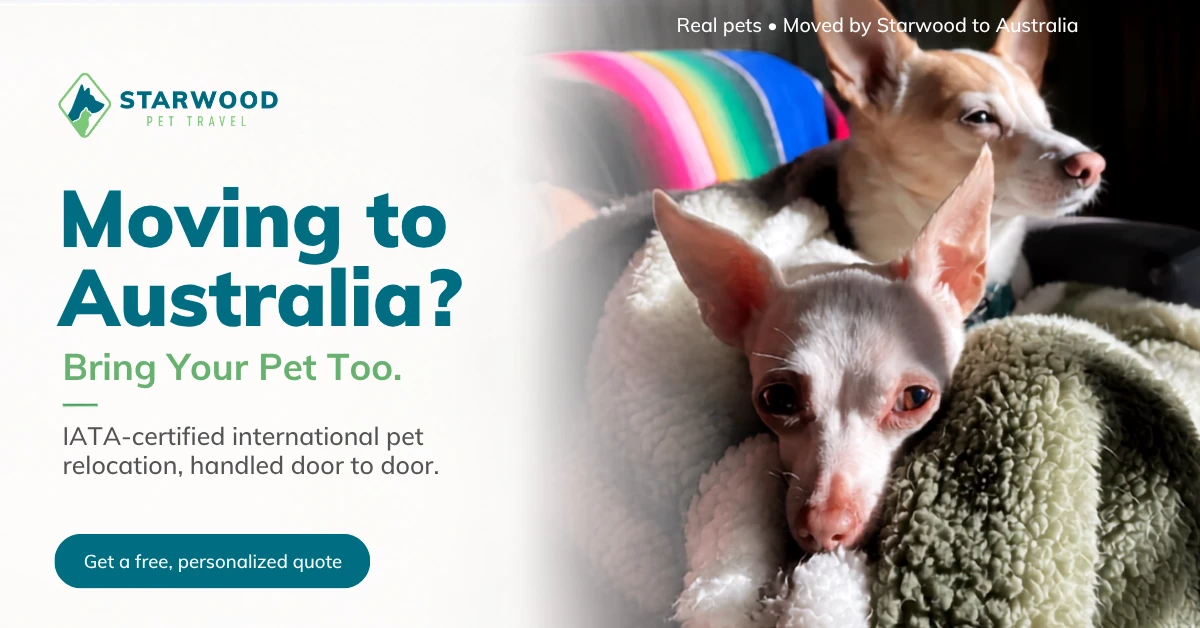 Starwood Pet Travel: IATA-certified international pet relocation to Australia, handled door to door. Get a free, personalised quote.